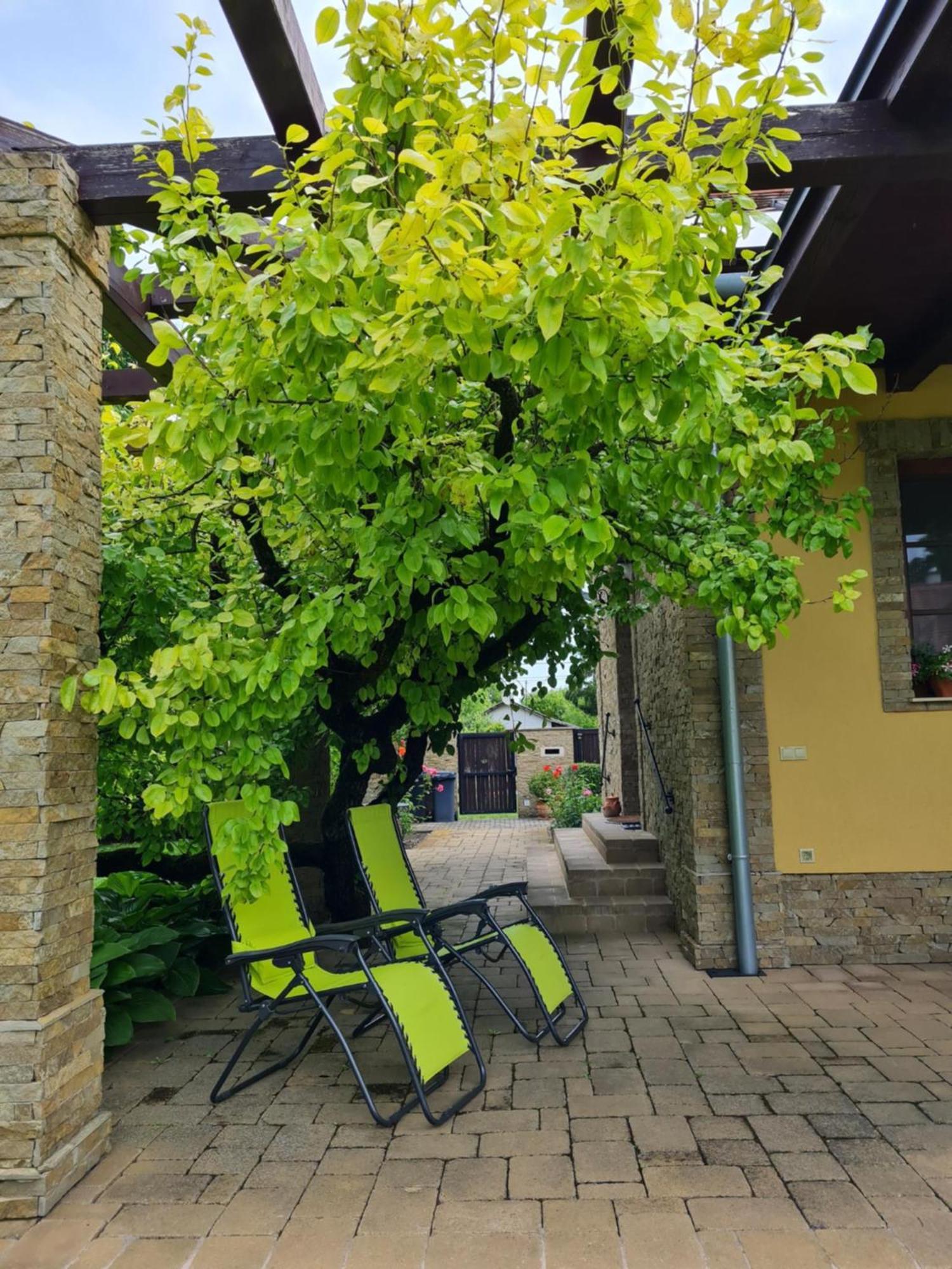 Duzzogó Vendégház Agárd Gárdony Exterior foto